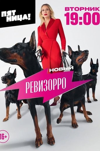 New Revizorro Poster