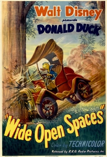 Wide Open Spaces Poster