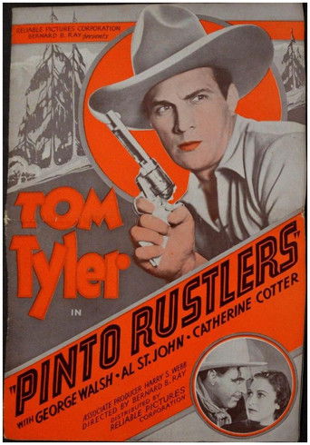 Pinto Rustlers Poster