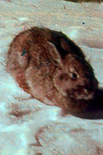 The Animals of Eden and After Poster