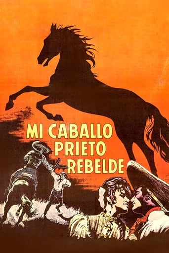 Mi caballo prieto rebelde Poster