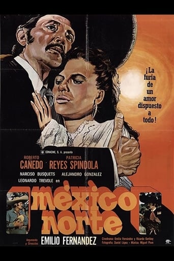 México Norte Poster