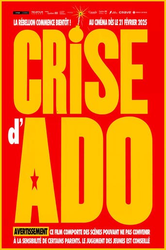 Crise d'ado Poster