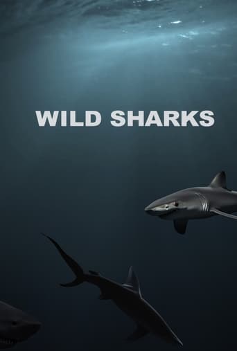 Wild Sharks Poster