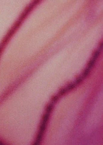 The Riddle of Lumen Poster