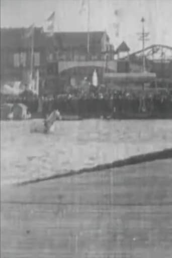 The Diving Horse Poster