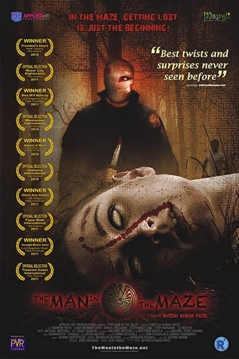 The Man in the Maze Poster