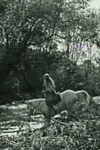 The White Squaw Poster