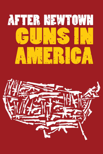 After Newtown: Guns in America Poster