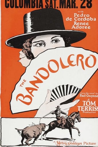 The Bandolero Poster