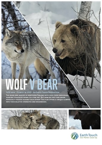 Wolf vs Bear Poster