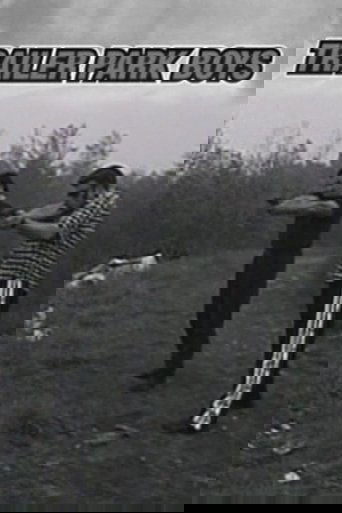 Trailer Park Boys Poster