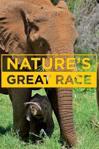 Nature's Epic Journeys Poster
