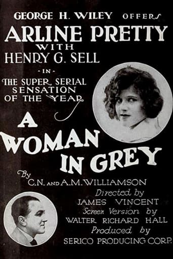 A Woman in Grey Poster