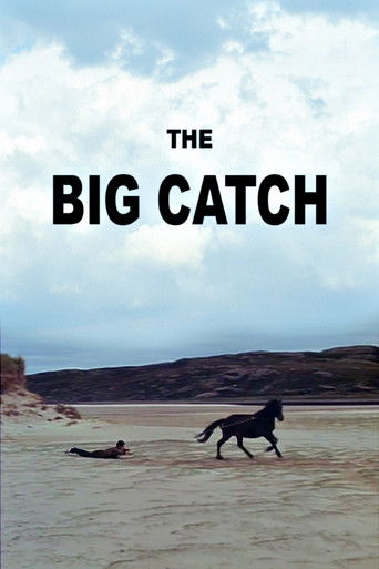 The Big Catch Poster