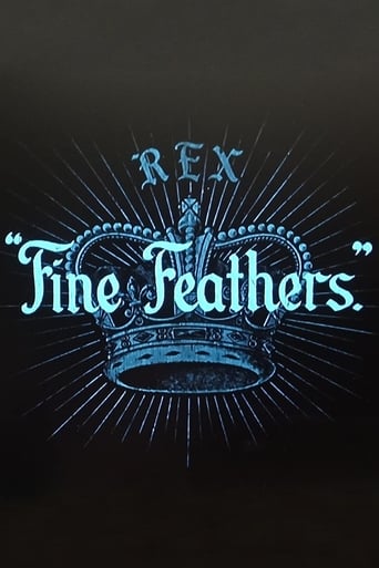 Fine Feathers Poster