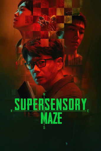 Supersensory Maze Poster