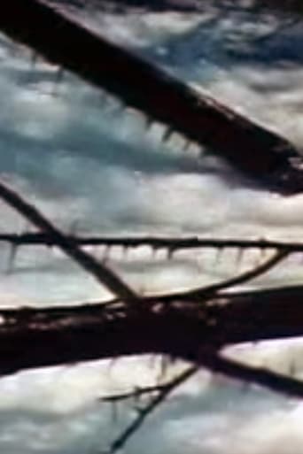 Seasons Project Poster