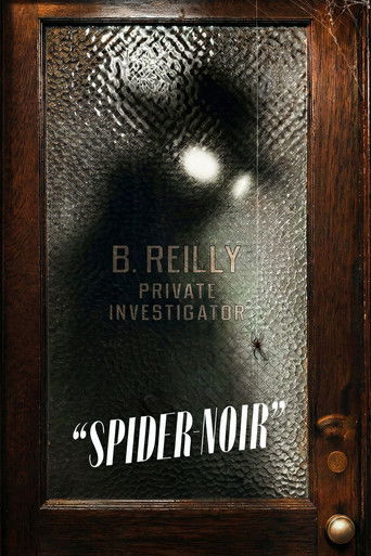 Spider-Noir Poster