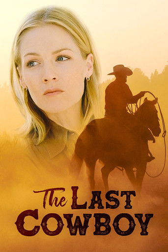 The Last Cowboy Poster