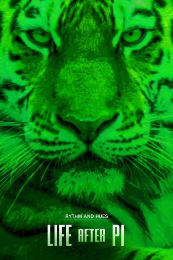 Life After Pi Poster