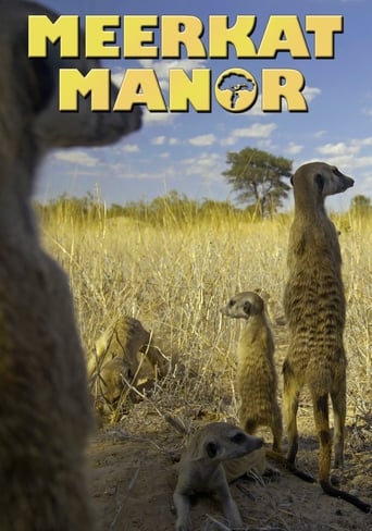 Meerkat Manor Poster