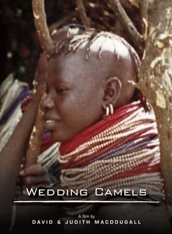 The Wedding Camels Poster