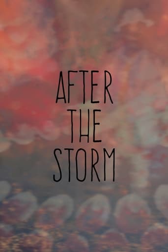 After the Storm Poster