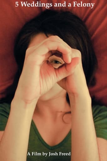 5 Weddings and a Felony Poster