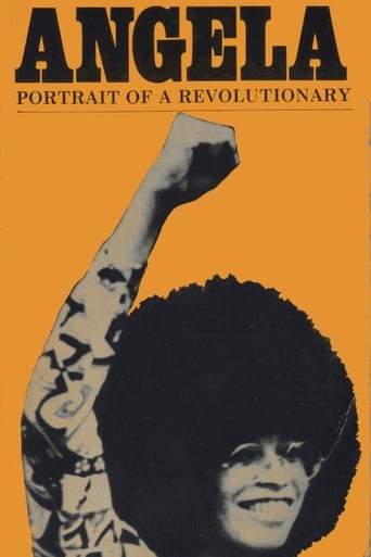 Angela Davis: Portrait of a Revolutionary Poster