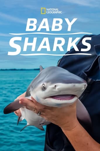 Baby Sharks Poster