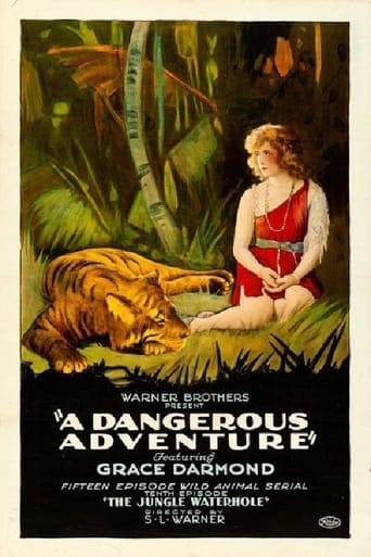 A Dangerous Adventure Poster