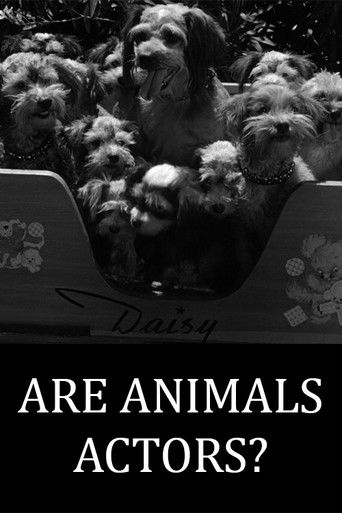 Are Animals Actors? Poster