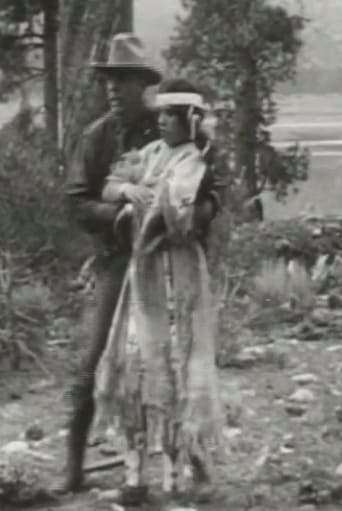 Little Dove's Romance Poster