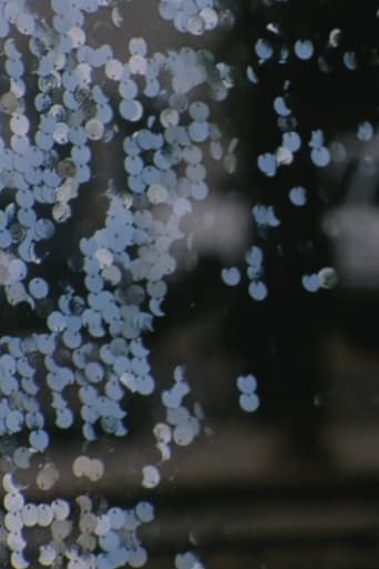 The Dragon Is the Frame Poster