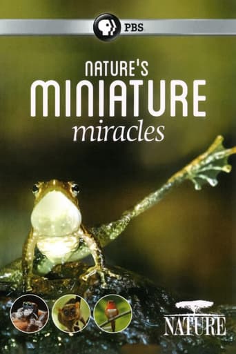 Nature's Miniature Miracles Poster