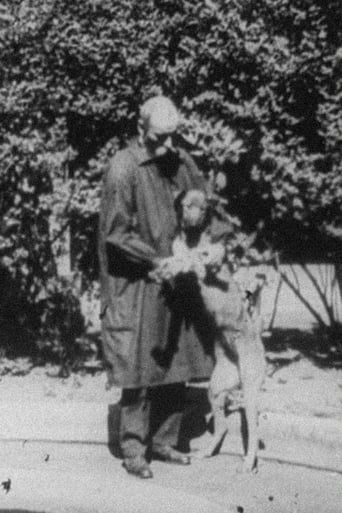 Experimental Treatment of a Hemorrhage in a Dog Poster