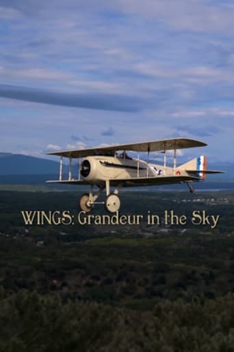 Wings: Grandeur in the Sky Poster