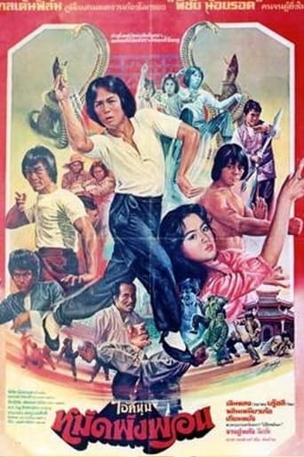 Fearless Master Poster