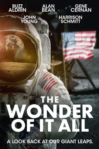 The Wonder of It All Poster