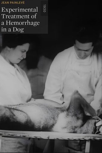 Experimental Treatment of a Hemorrhage in a Dog